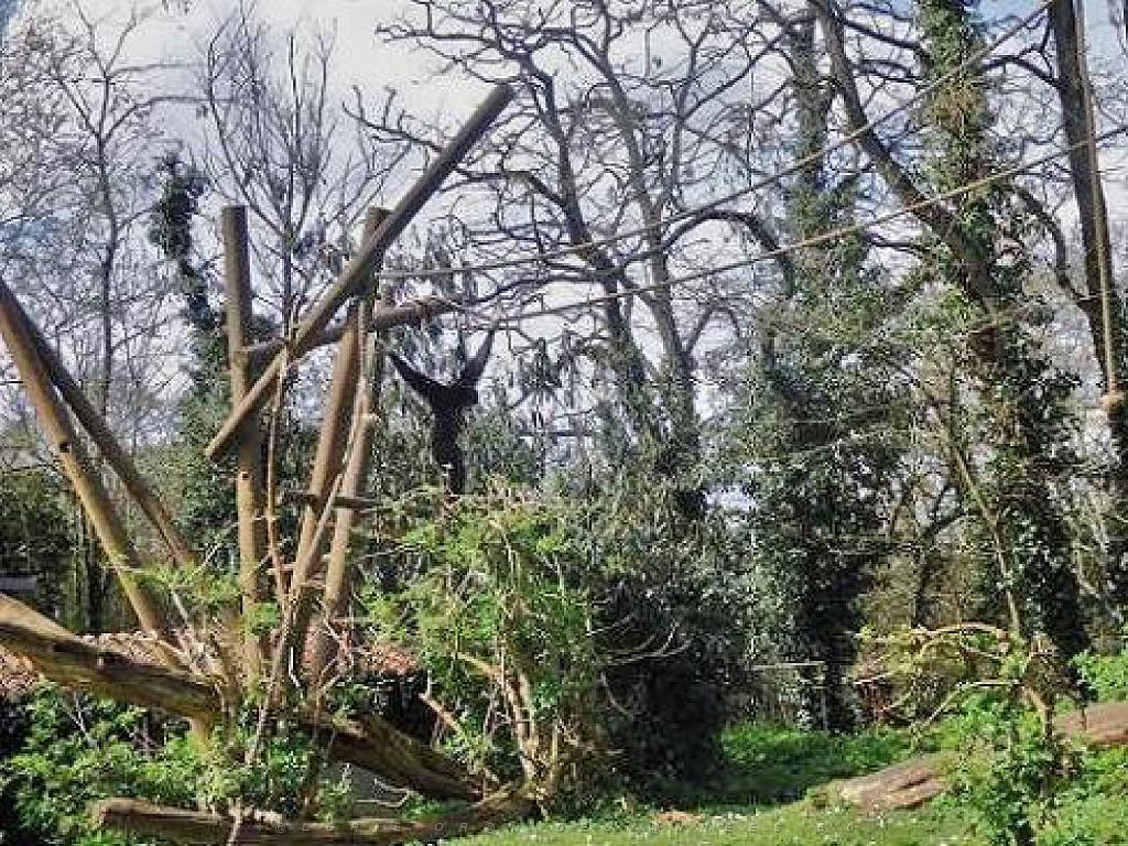 149 BIO PARC DE DOUE LA FONTAINE 7- 2016_000015.jpg